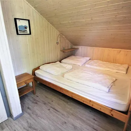 Wildgans 118 * Миров